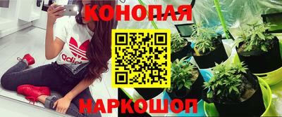 соль ск Усть-Илимск