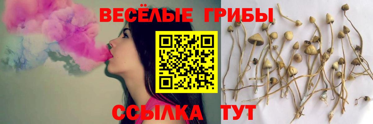 Галлюциногенные грибы Magic Shrooms  Псилоцибиновые грибы мухоморы  Обь  Вход с VPN 